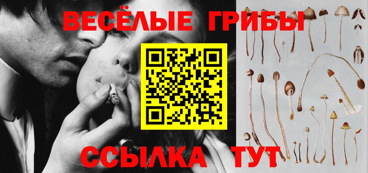 Галлюциногенные грибы Psilocybe  Галлюциногенные грибы MAGIC MUSHROOMS  Вход с VPN  где купить   Туапсе 